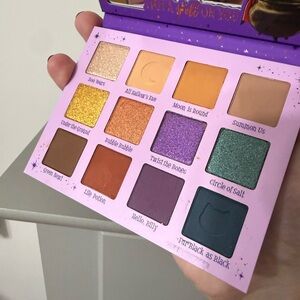 Hocus pocus!!!Purple & Green Eyeshadow Palette - Multi-Shade Matte and Shimmer